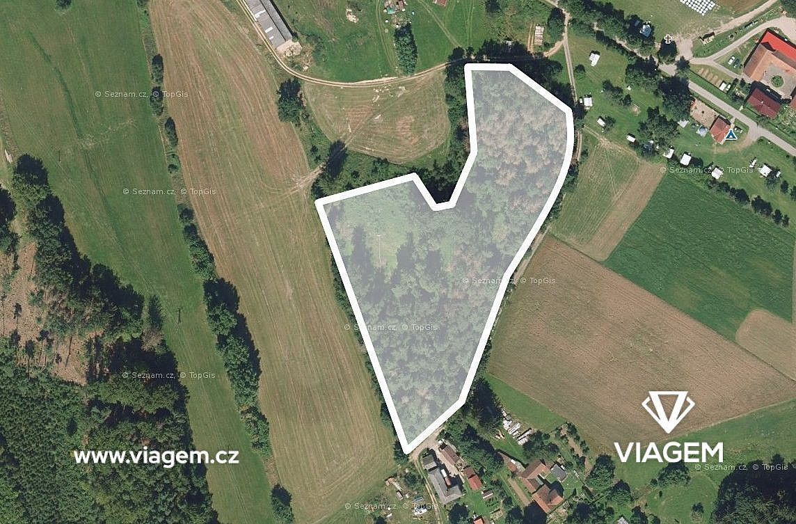Lesy, Světlá nad Sázavou, okres Havlíčkův Brod, Kraj Vysočina - 1
