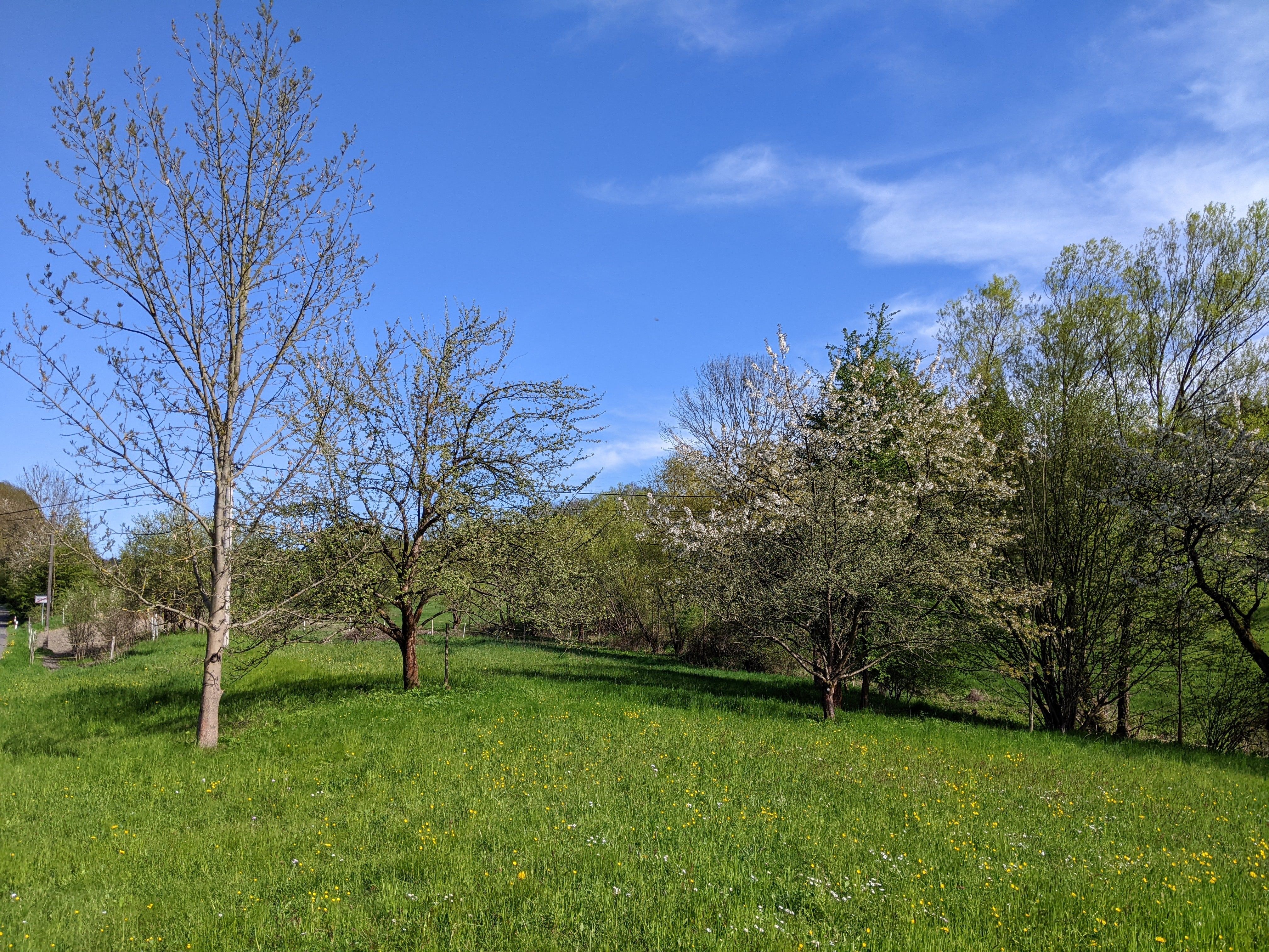 Prodej zahrada - Sestroňovice, Frýdštejn, 2 000 m²