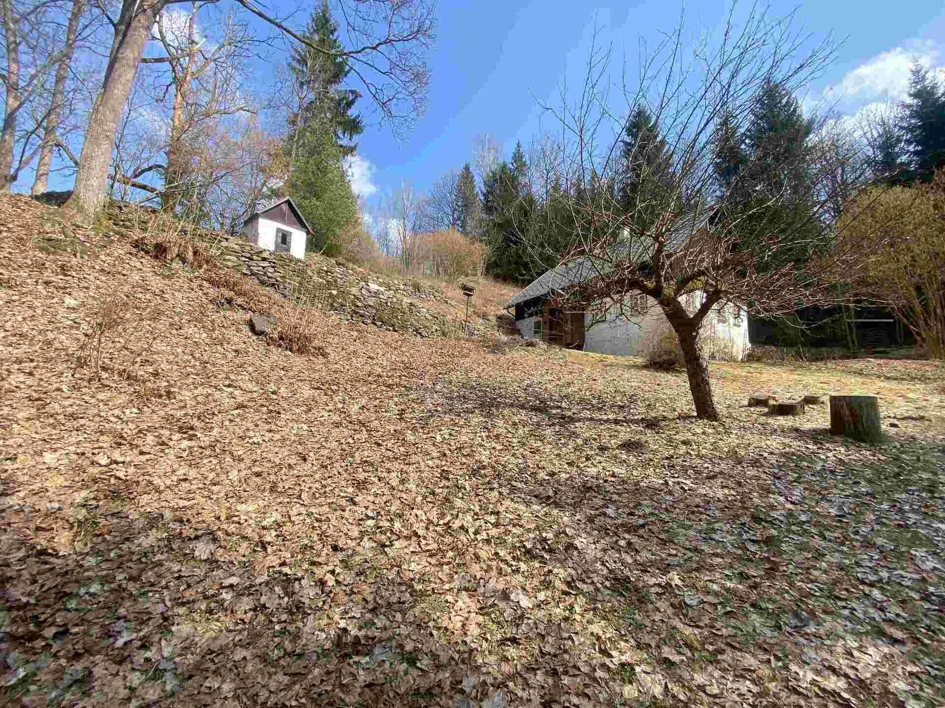 Pozemek · 858 m² · Rokytnice v Orlických horách - 3