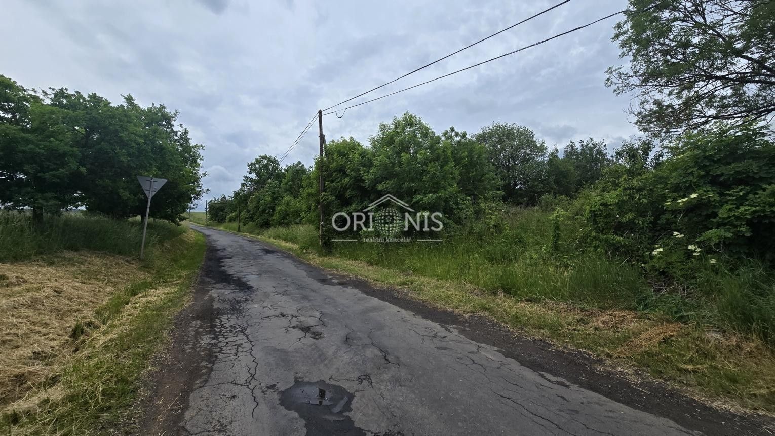 Komerční pozemek · 8 620 m² · Libyně, Lubenec - 4