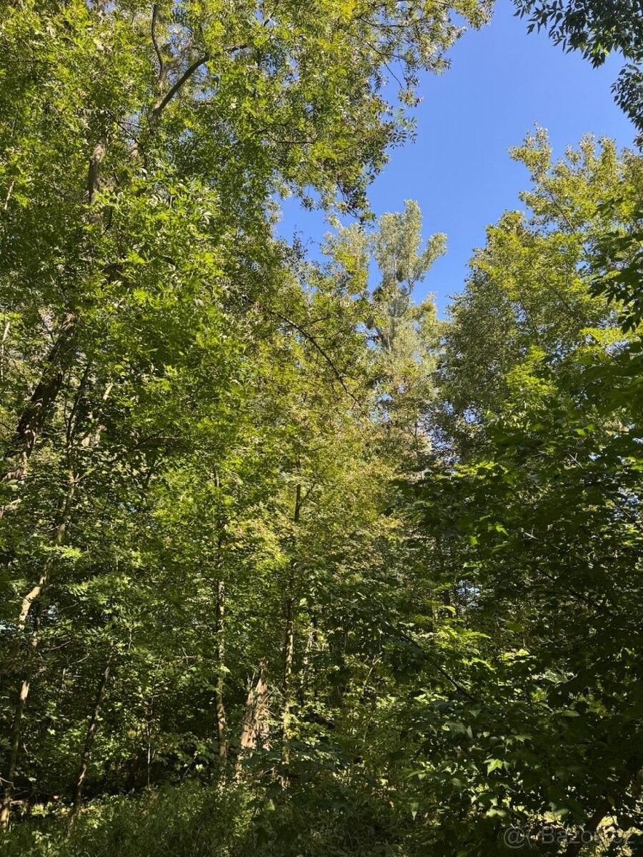 Pozemky pro bydlení, Šenov u Ostravy, 739 34 - 1
