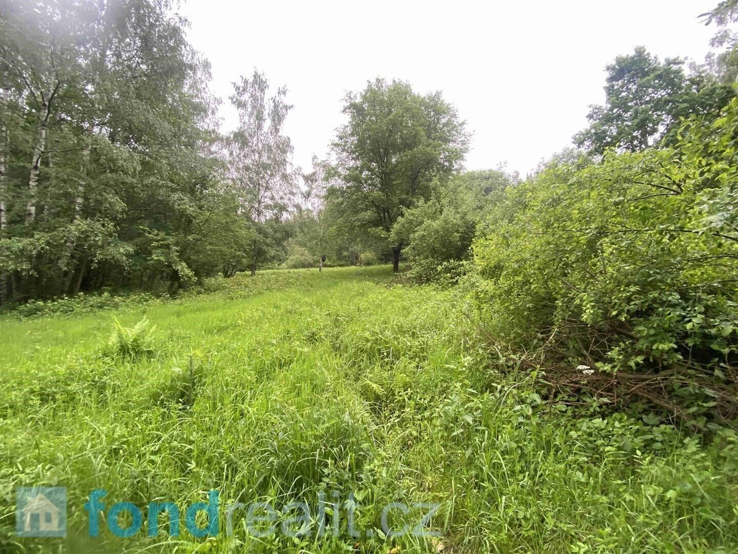 Prodej zemědělský pozemek - Dešenice, 12 m²