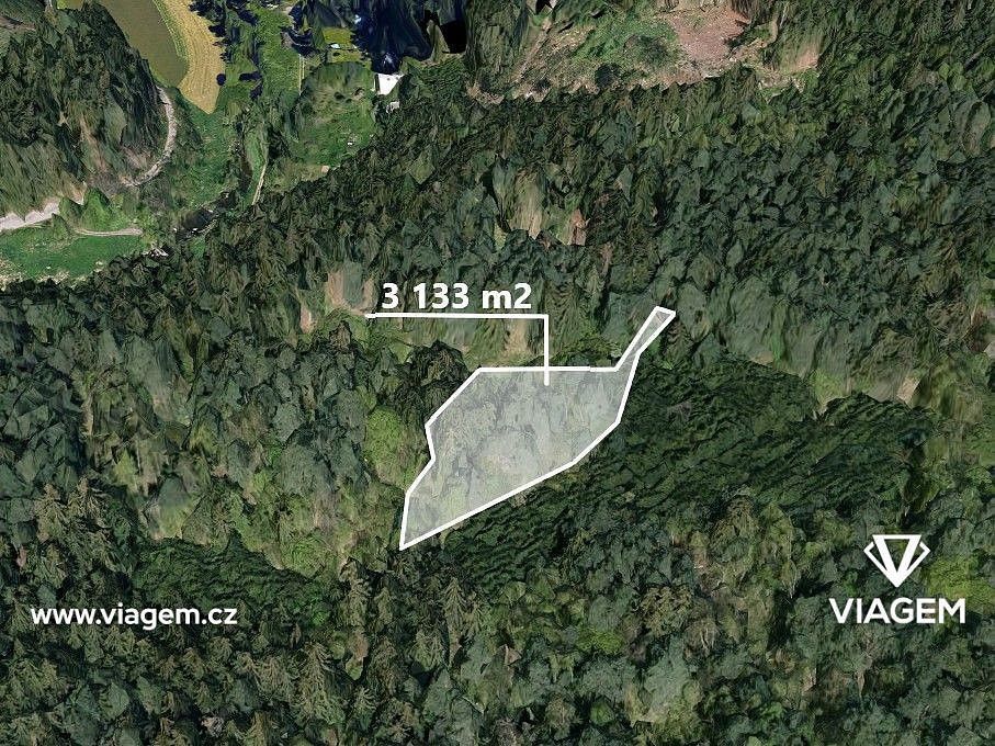 Prodej les - Petráveč, okres Žďár nad Sázavou, Kraj Vysočina - 1