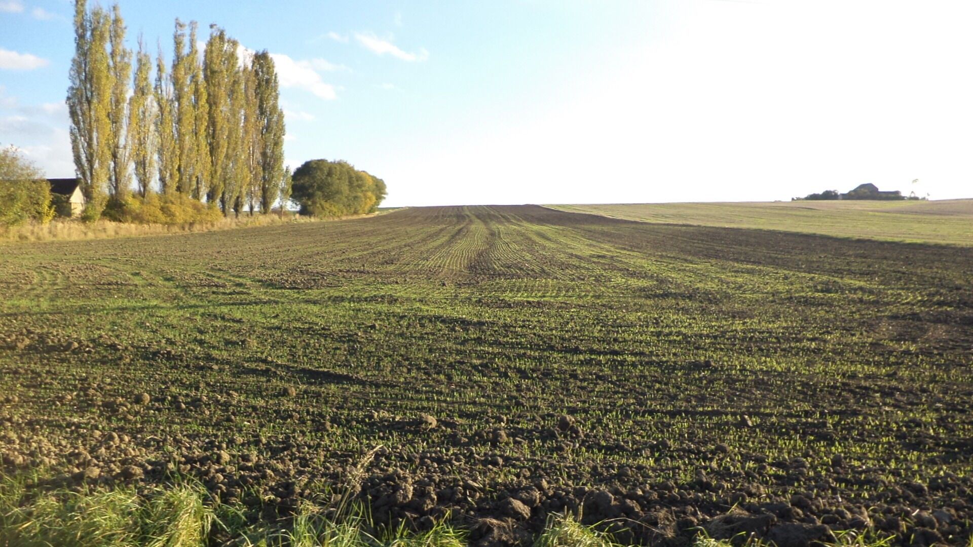 Prodej pozemek pro bydlení - Údraž, Albrechtice nad Vltavou, 4 m²