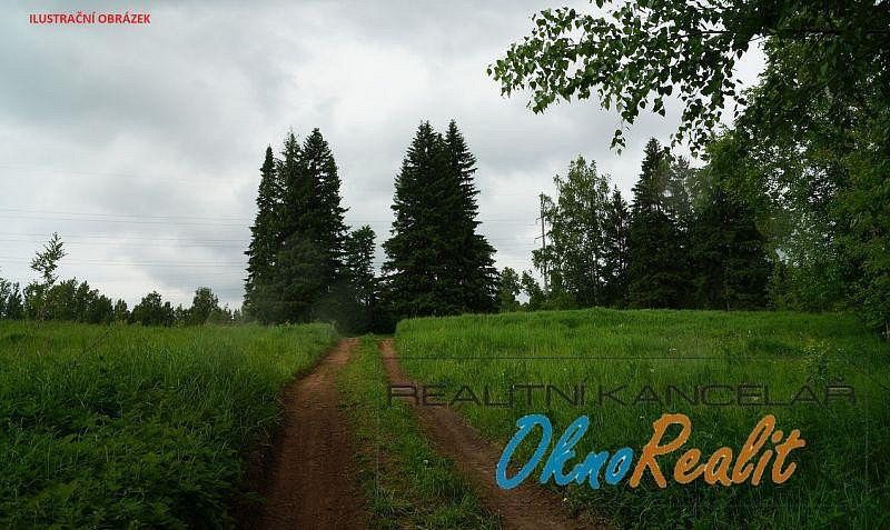 Prodej les - Dubňany, okres Hodonín, Jihomoravský kraj - 2