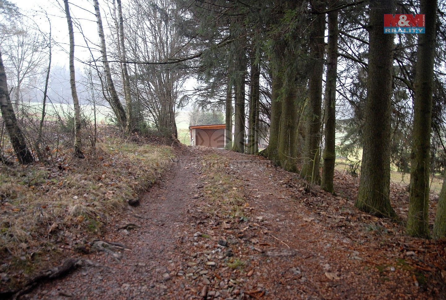 Prodej zemědělský pozemek - Lomnice nad Popelkou - Želechy, okres Semily - 5
