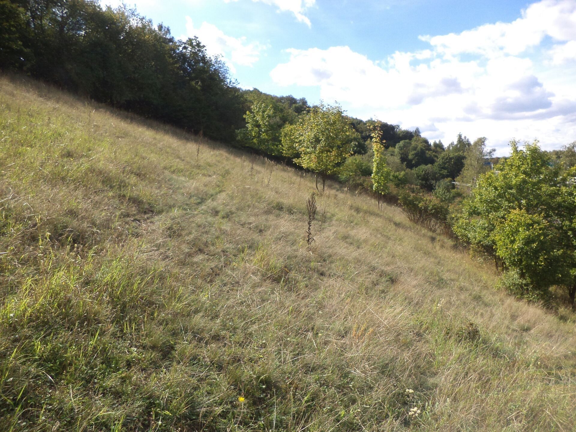 Zemědělské pozemky, Stadice, Řehlovice, 1 m²