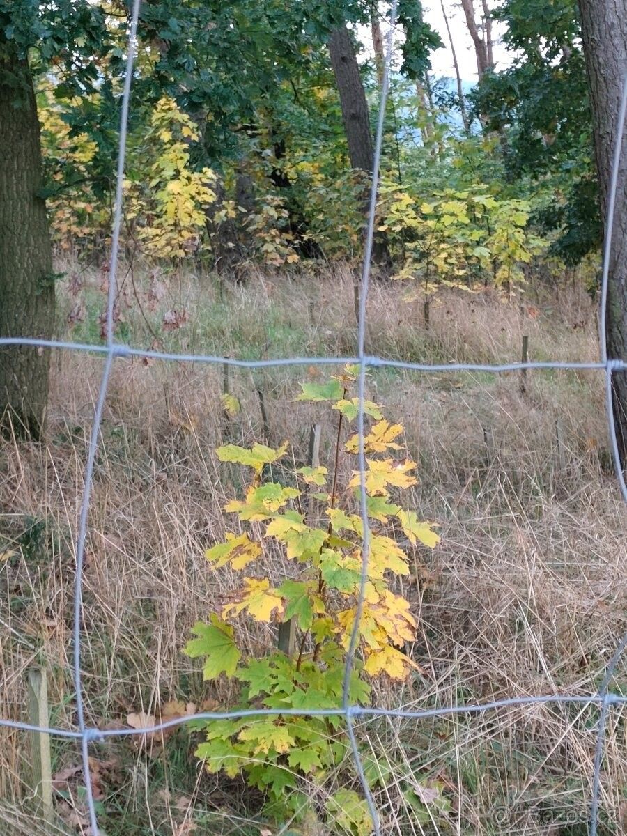 Pozemky pro bydlení, Bezděkov, 339 01