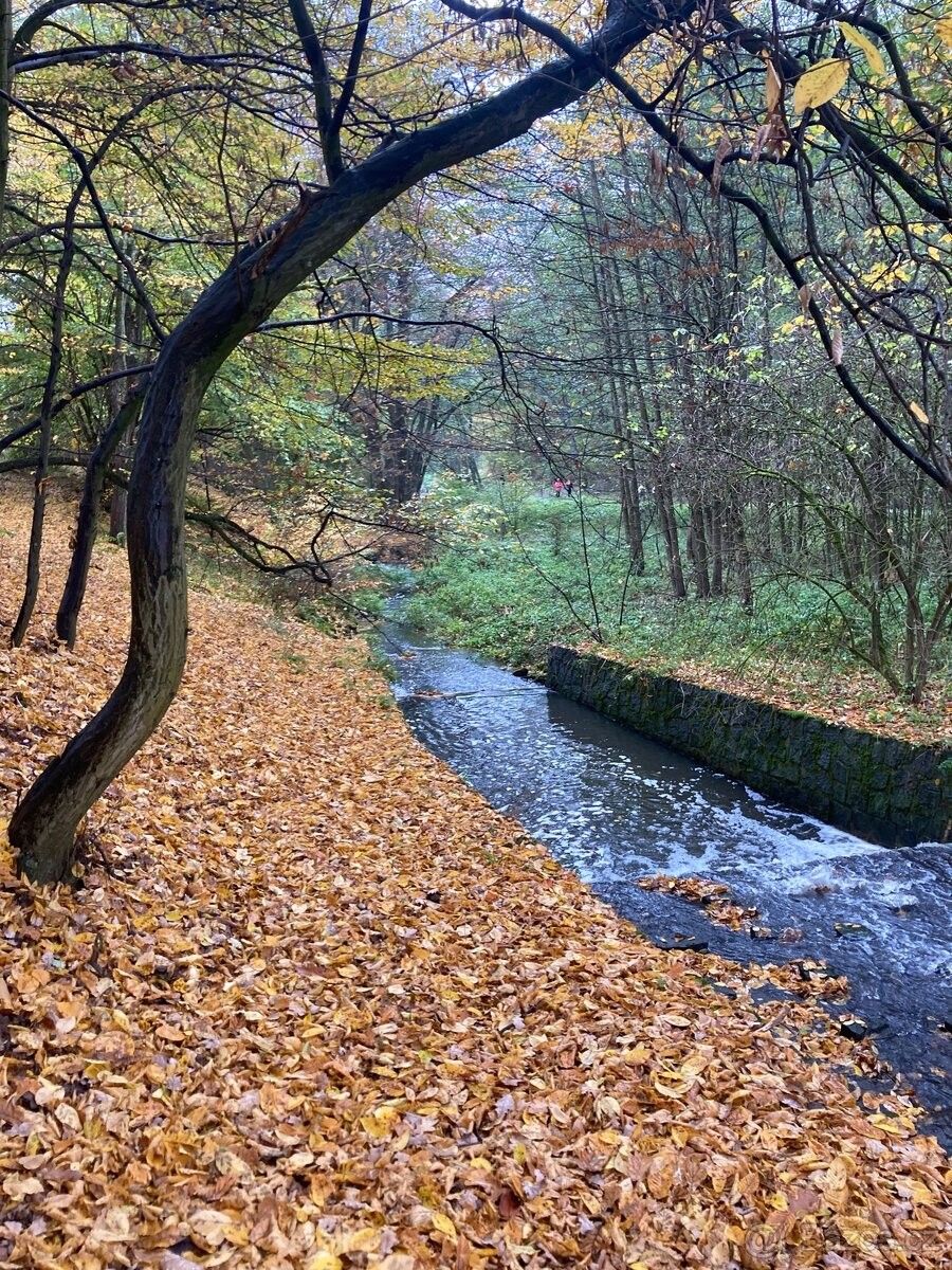 Pozemky pro bydlení, Albrechtice nad Vltavou, 397 01