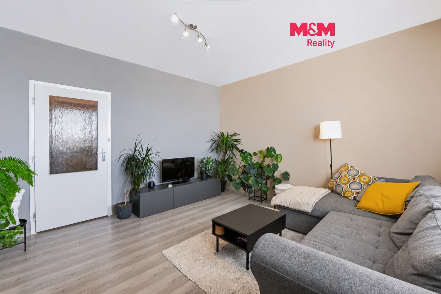 2+1, Werichova, Olomouc, 44 m² - 1