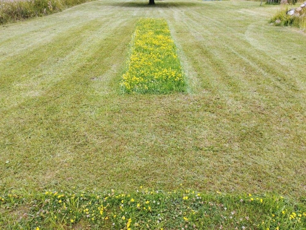 Pronájem zahrada - Stařeč, 675 22