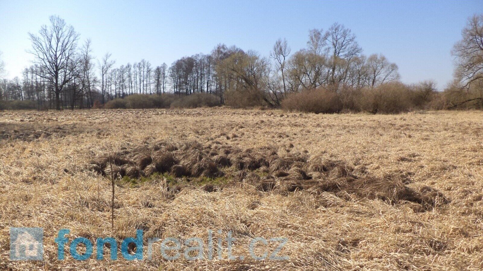 Pozemek · 4 593 m² · Vesce Čeraz - 3