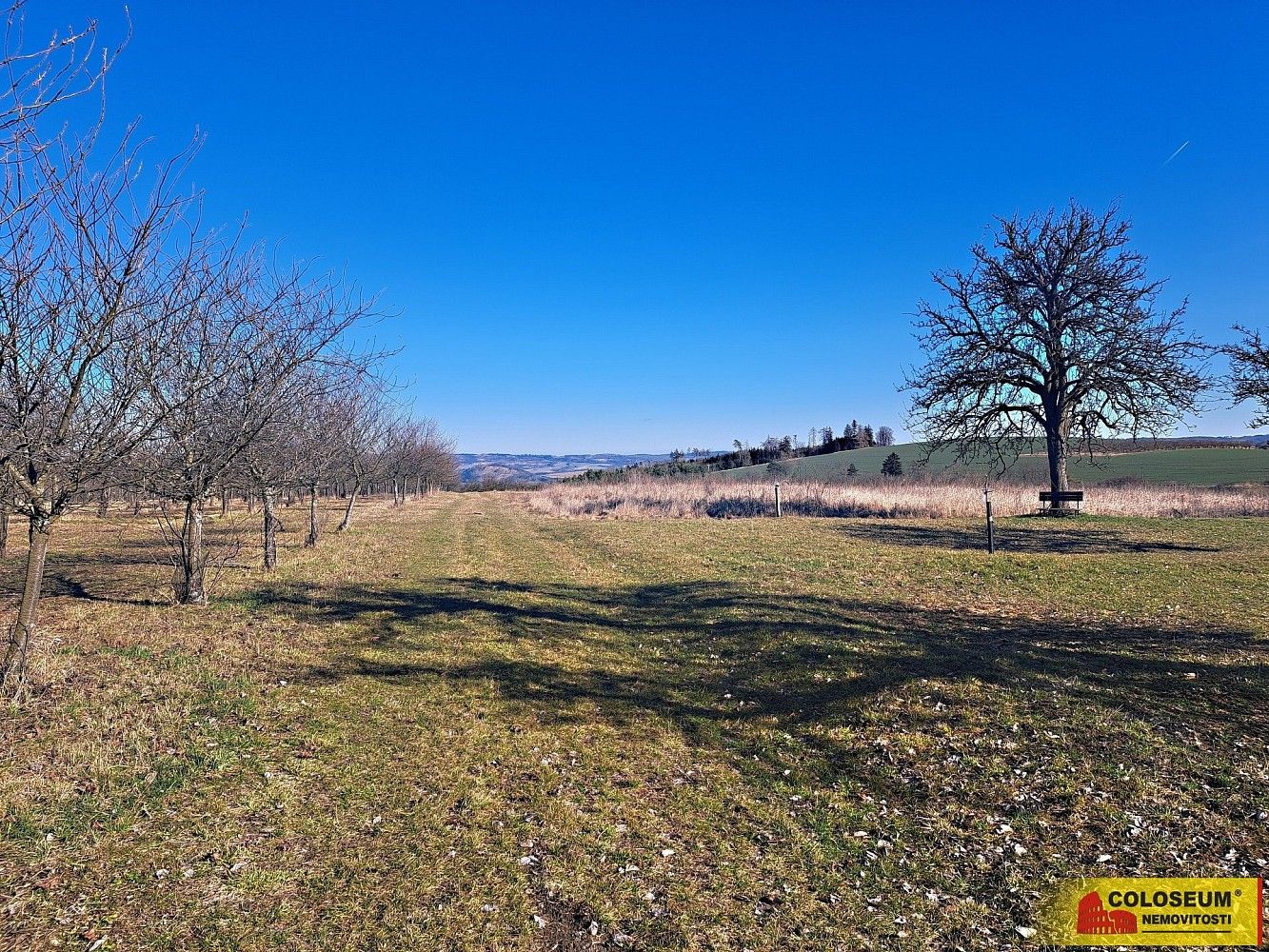 Prodej zemědělský pozemek - Štěchov, okres Blansko, Jihomoravský kraj - 5