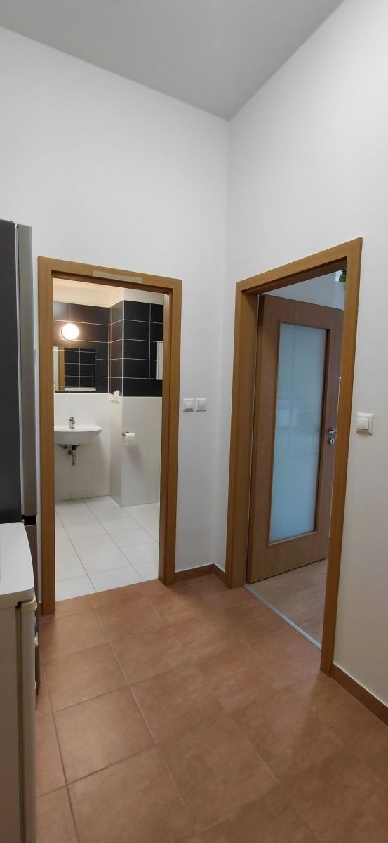 1+kk, Březenská, Praha - Libeň, 68 m² - 2