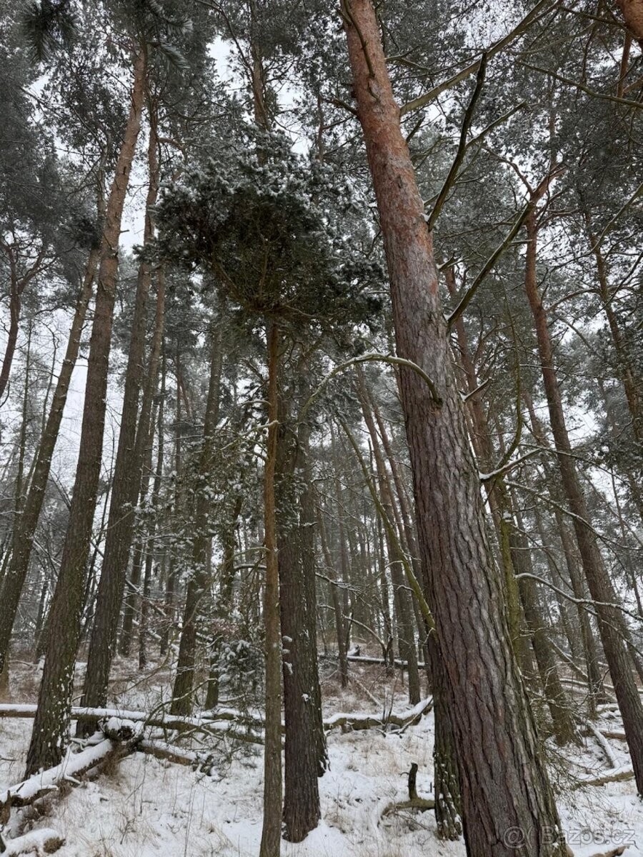 Pozemek pro bydlení · Horažďovice, 341 01 - 4