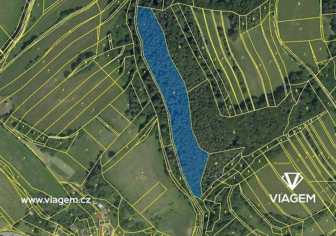 Les · Vranová Lhota, okres Svitavy, Pardubický kraj - 3