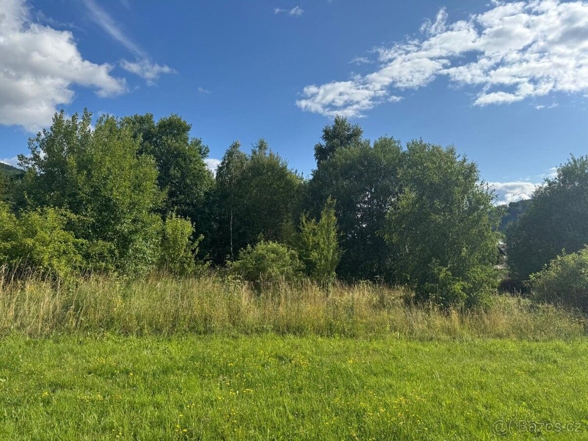 Prodej pozemek pro bydlení - Loučná nad Desnou, 788 11