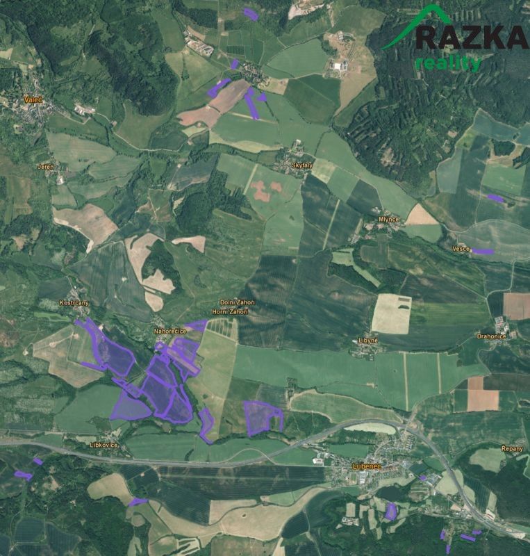 Prodej zemědělský pozemek - Lubenec