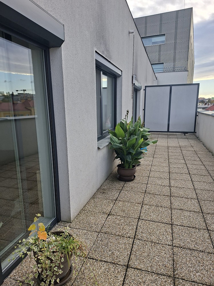 Pronájem byt 3+kk - Wolkerova, Olomouc, 63 m² - 5