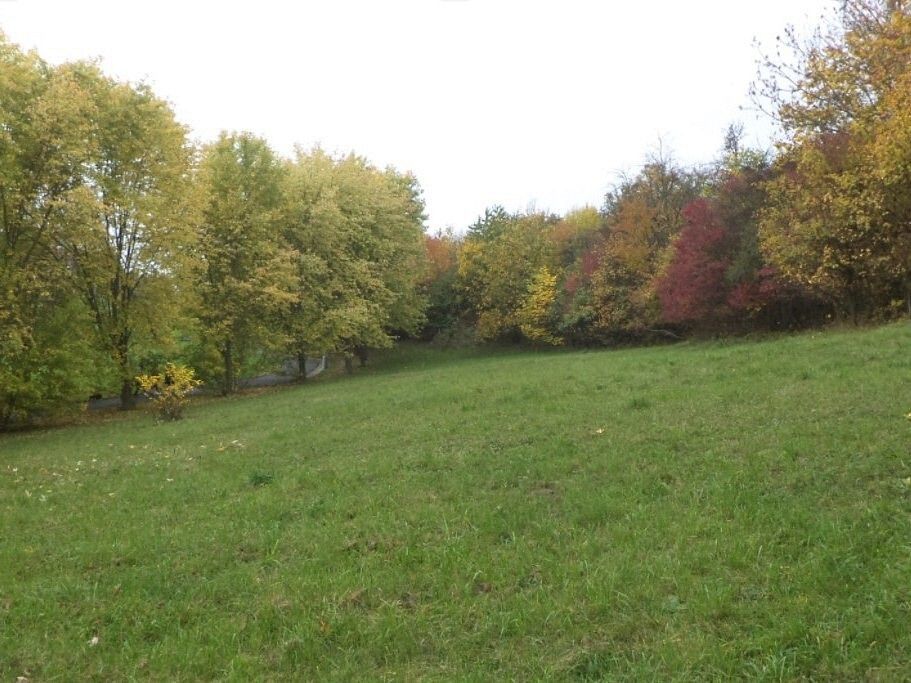 Louky, Ryjice, okres Ústí nad Labem, Ústecký kraj - 1