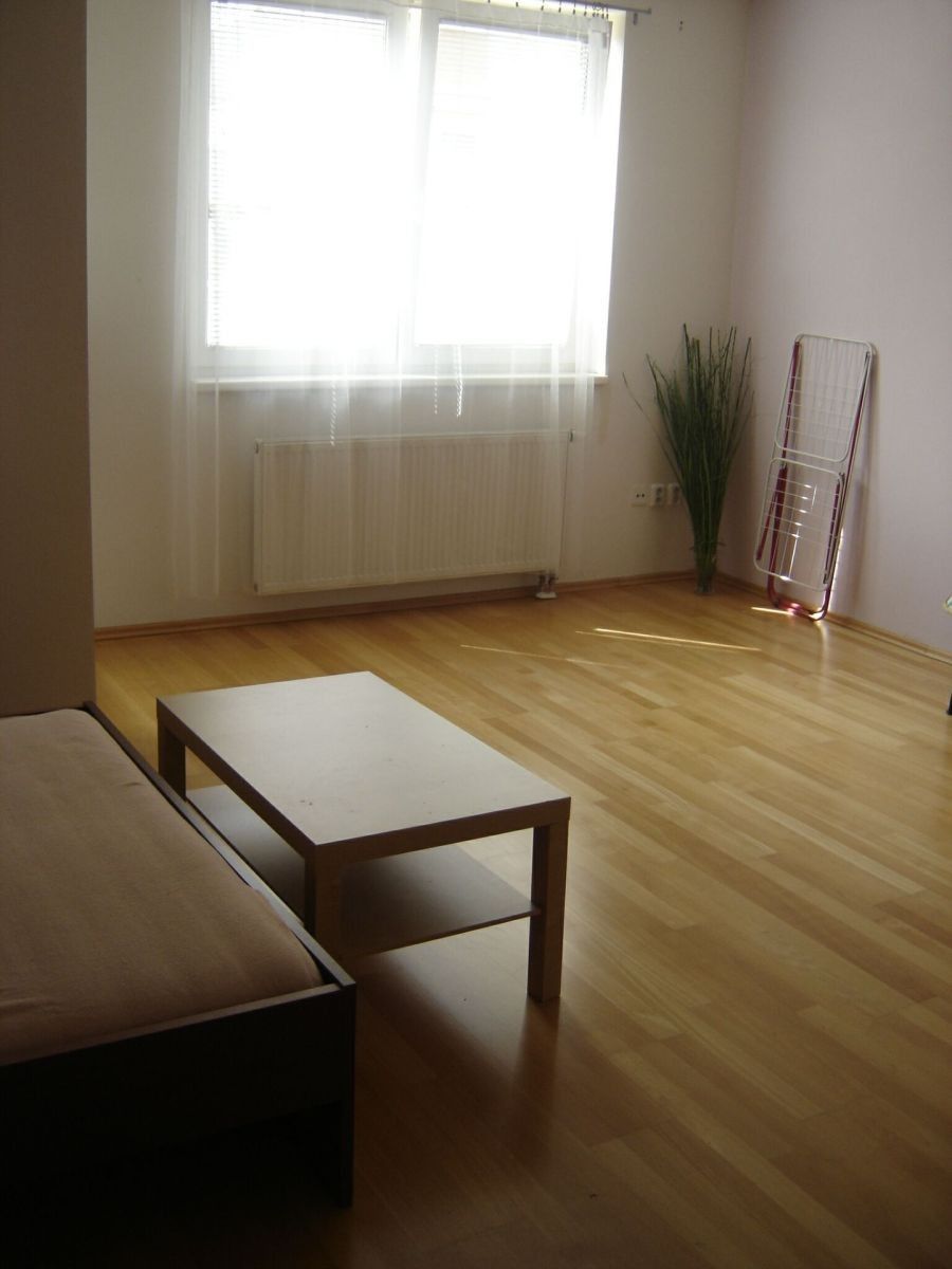 Pronájem byt 1+kk - Na Palouku, Praha - Strašnice, 45 m² - 5