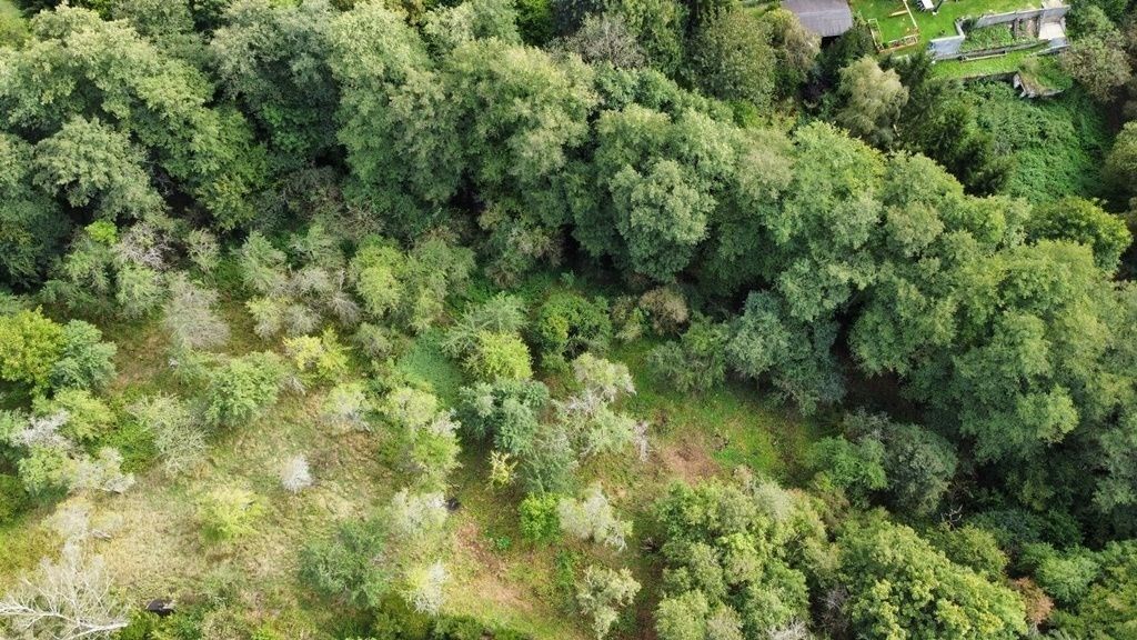 Prodej zahrada - Hýskov