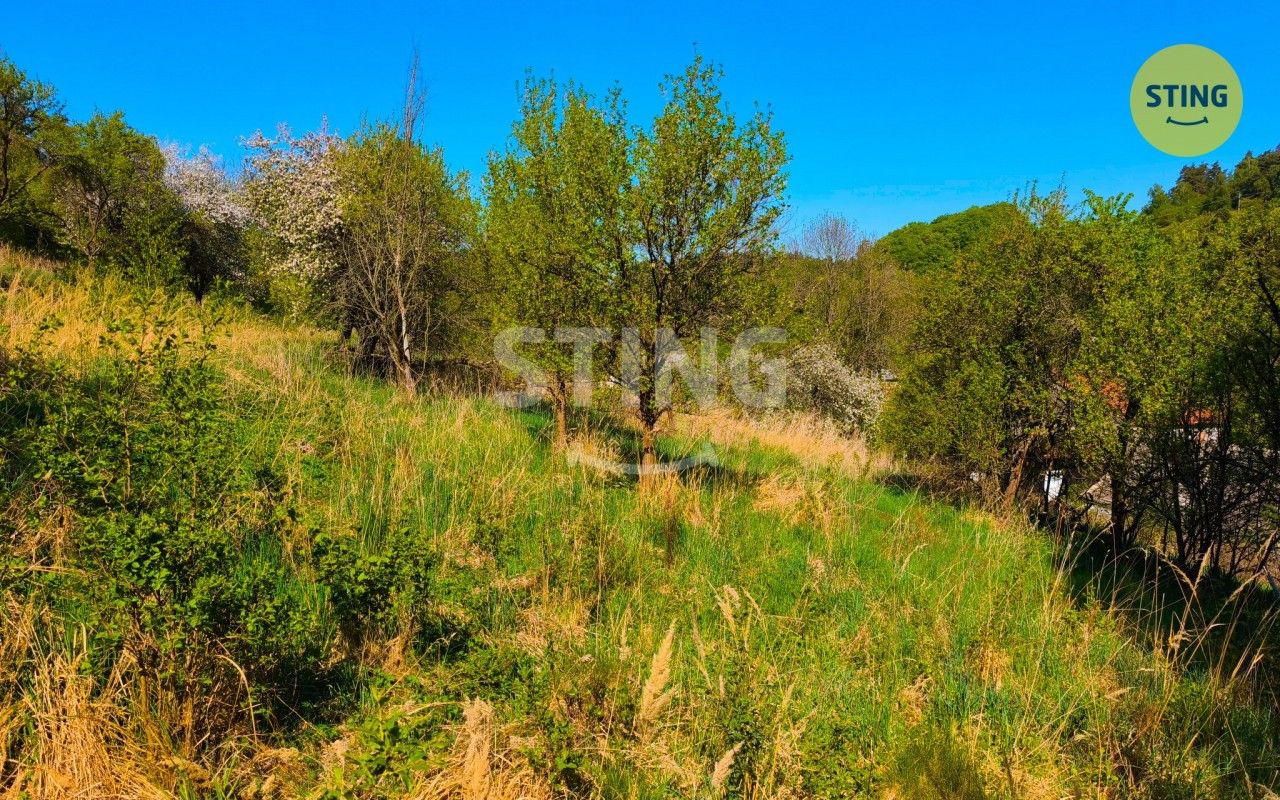 Dům – Věžná, okres Žďár nad Sázavou – pohled 5