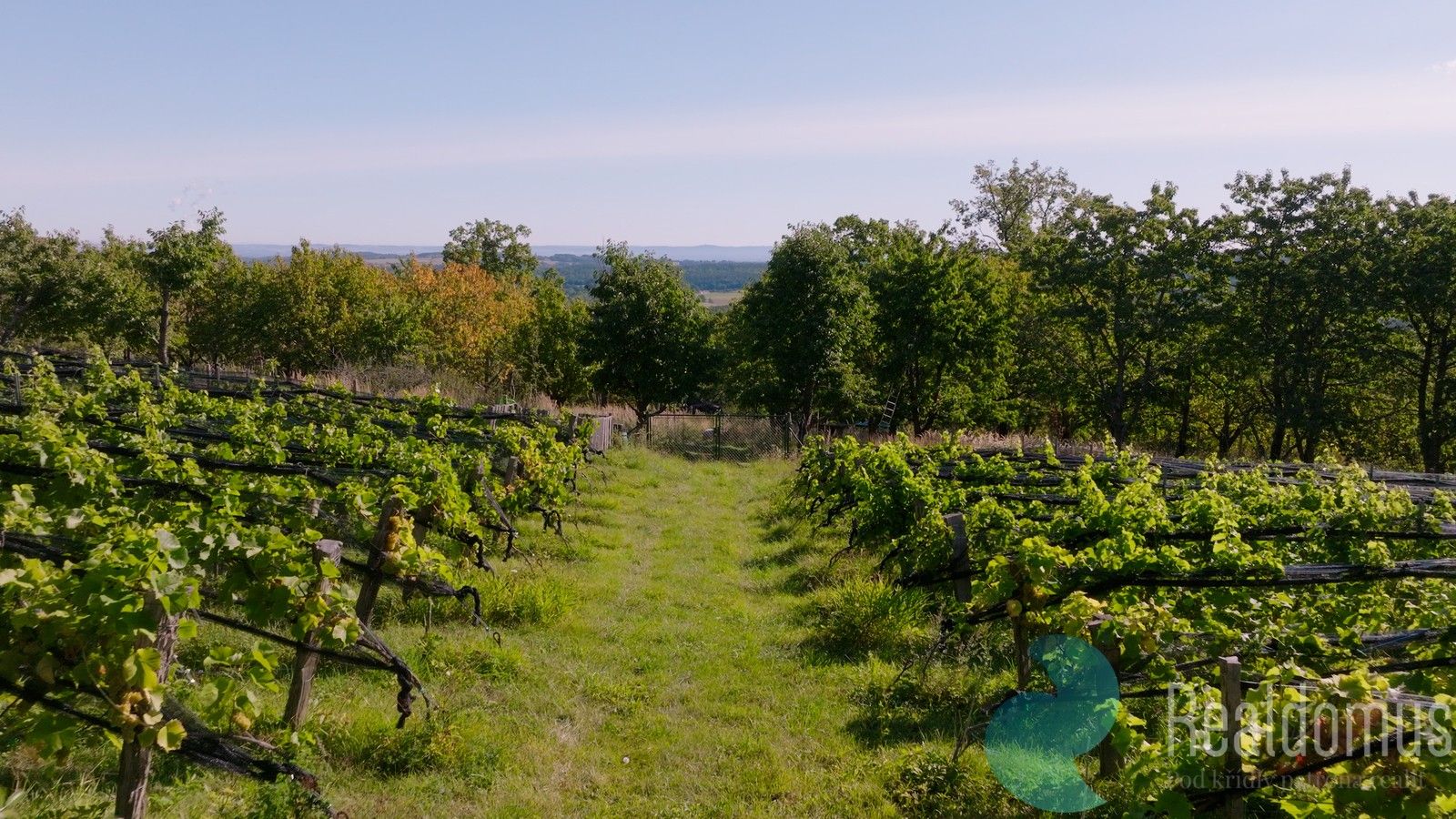 Prodej pozemek - Lhenice, 8 m²