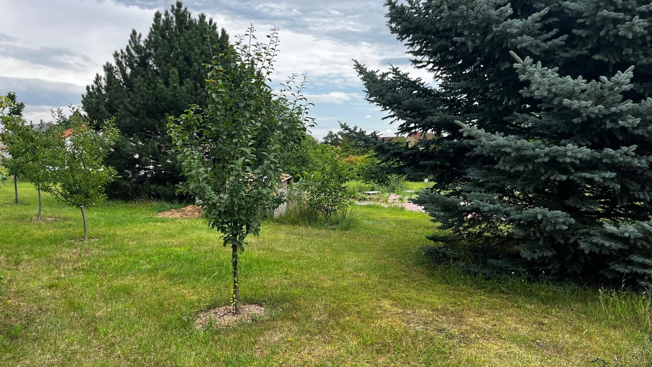 Prodej pozemek pro bydlení - Polepy, 1 727 m² - 5