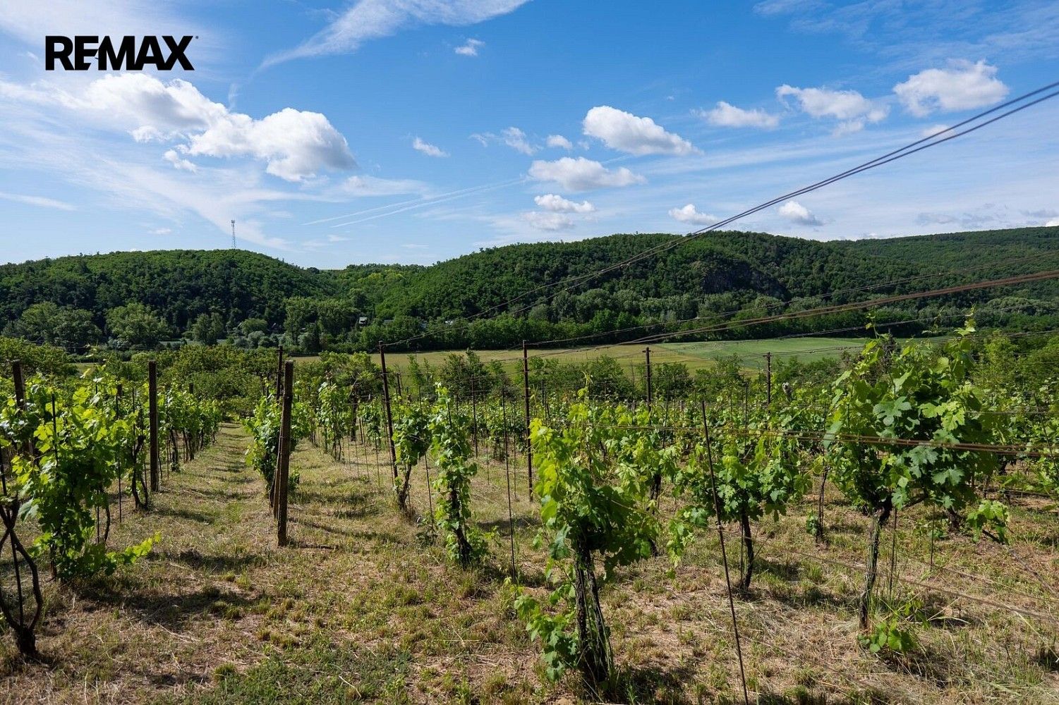 Zahrady, Moravské Bránice, okres Brno-venkov, Jihomoravský kraj - 1