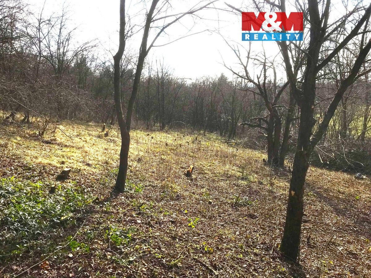 Zahrady, Louny, 440 01