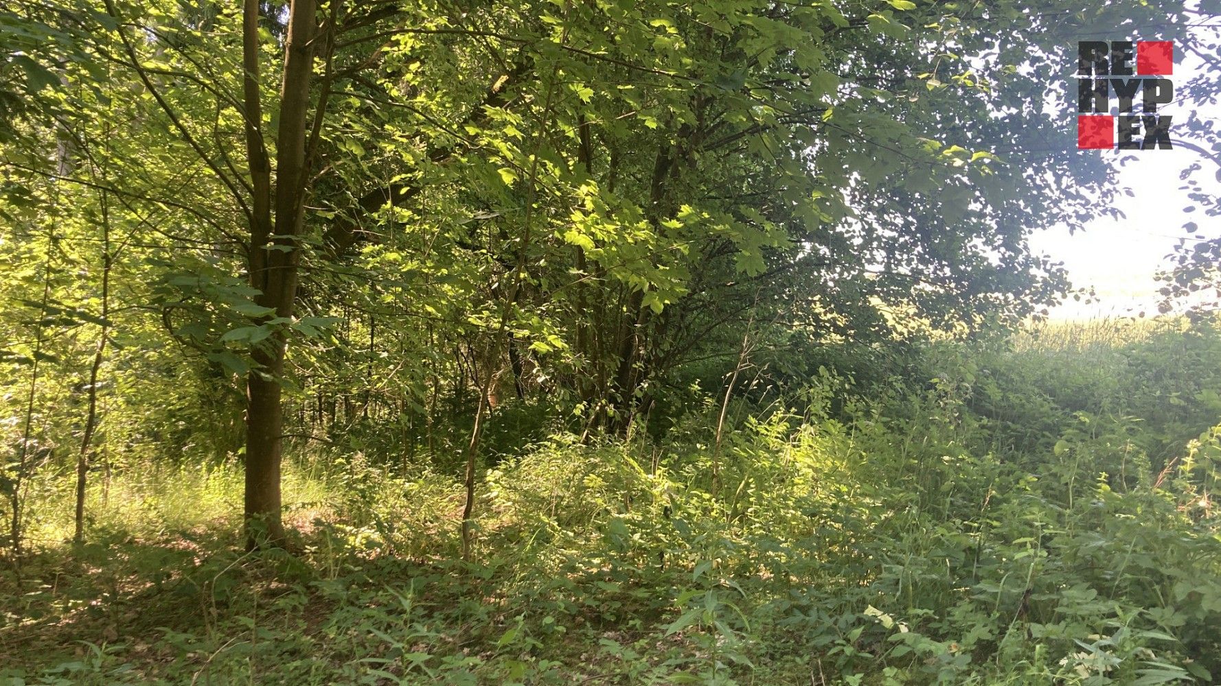 Zemědělský pozemek · Lomnice nad Popelkou - Želechy, okres Semily - 4