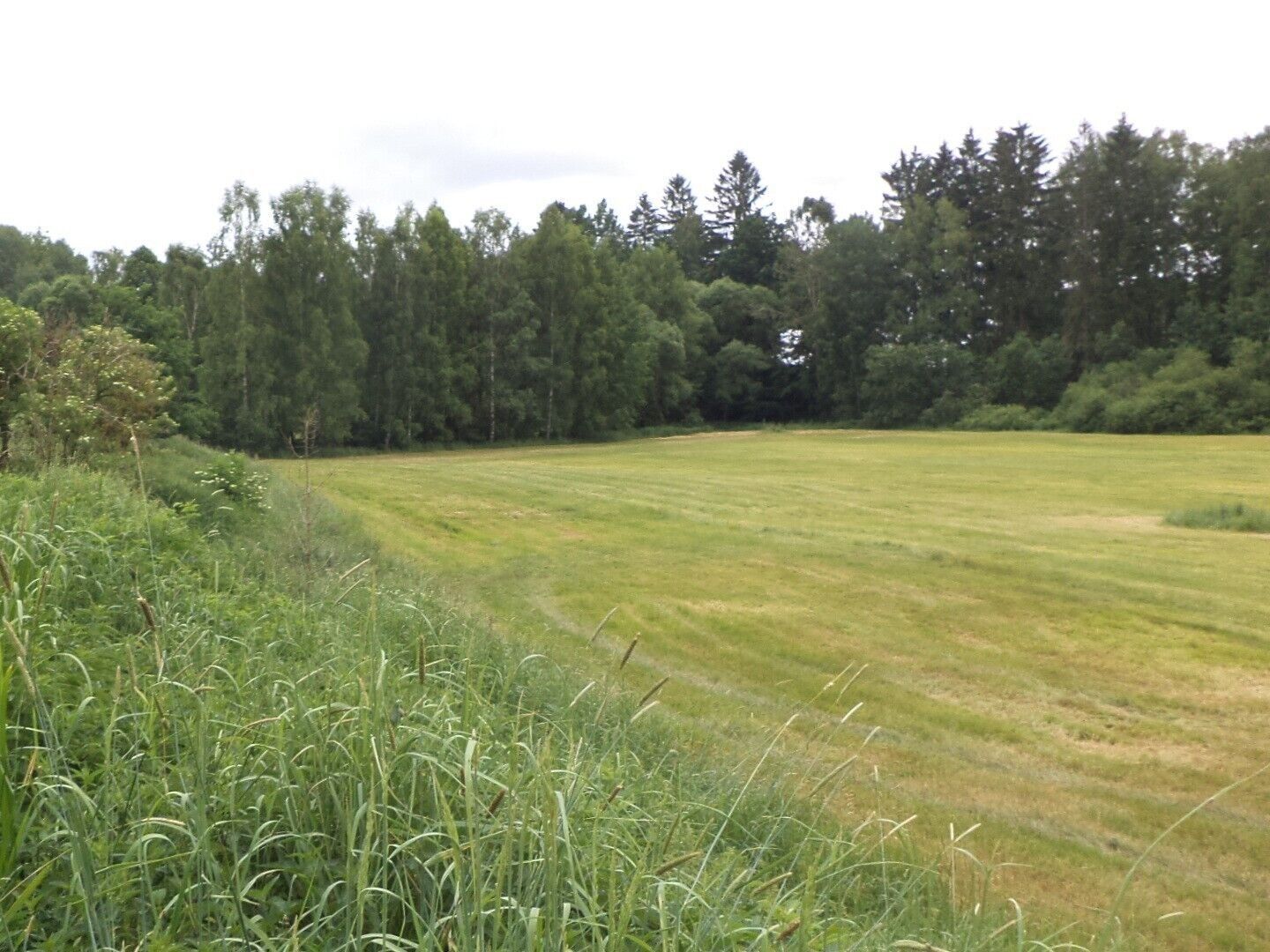 Prodej pozemek - Mirochov, Chlum u Třeboně, 2 m²