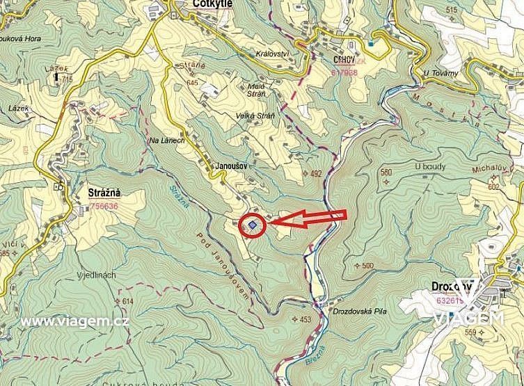 Les · Cotkytle, okres Ústí nad Orlicí, Pardubický kraj - 3