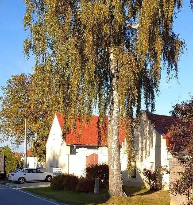 Chaty, Dunajovice - Dunajovice, Jihočeský kraj - 1