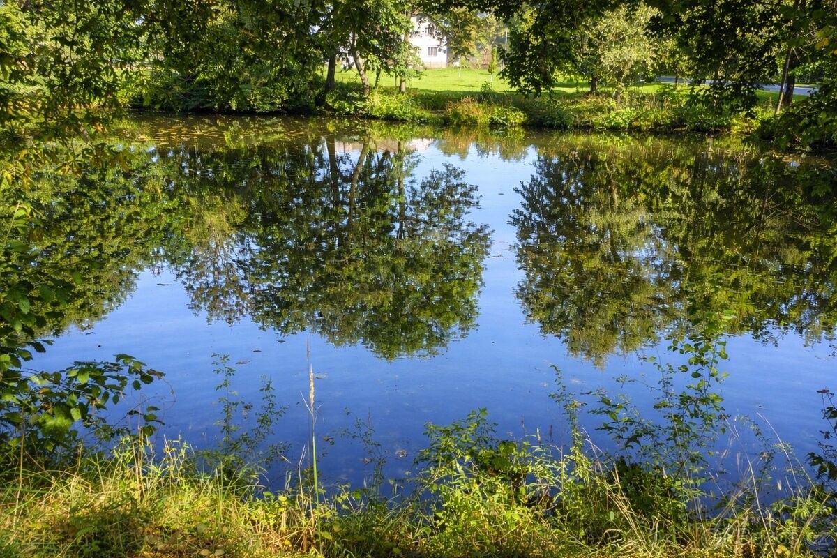 Zahrady, Přelouč, 535 01