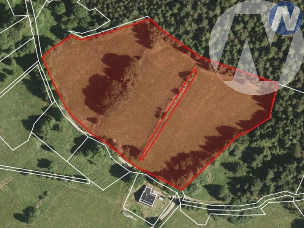 Prodej louka - Borová Lada, 22 m²