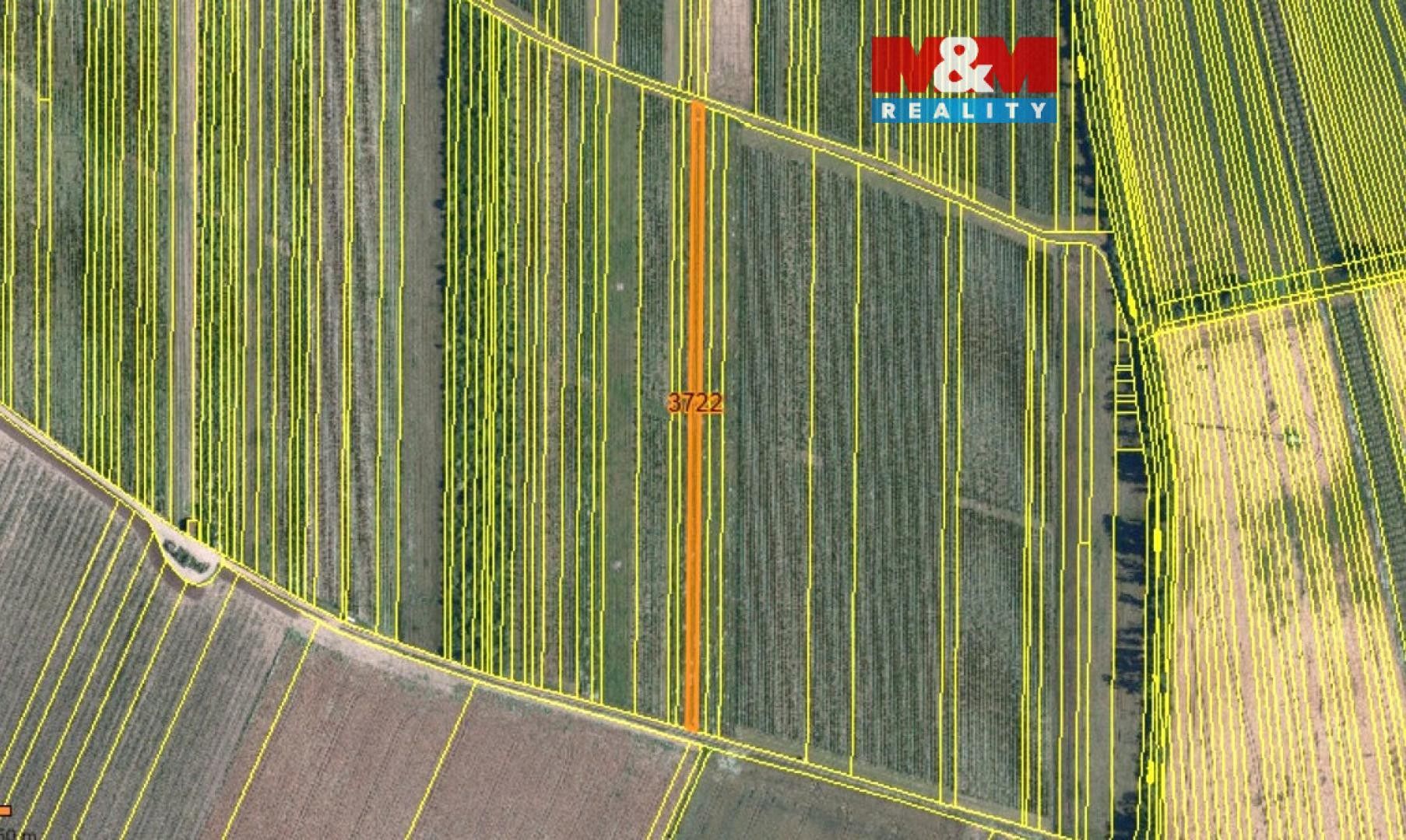 Zemědělské pozemky, Moravský Žižkov