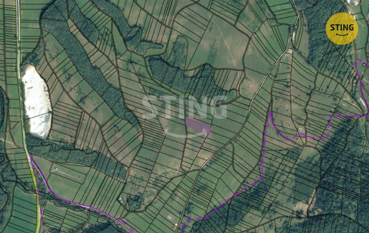 Les · 19 597 m² · Velké Karlovice - 4
