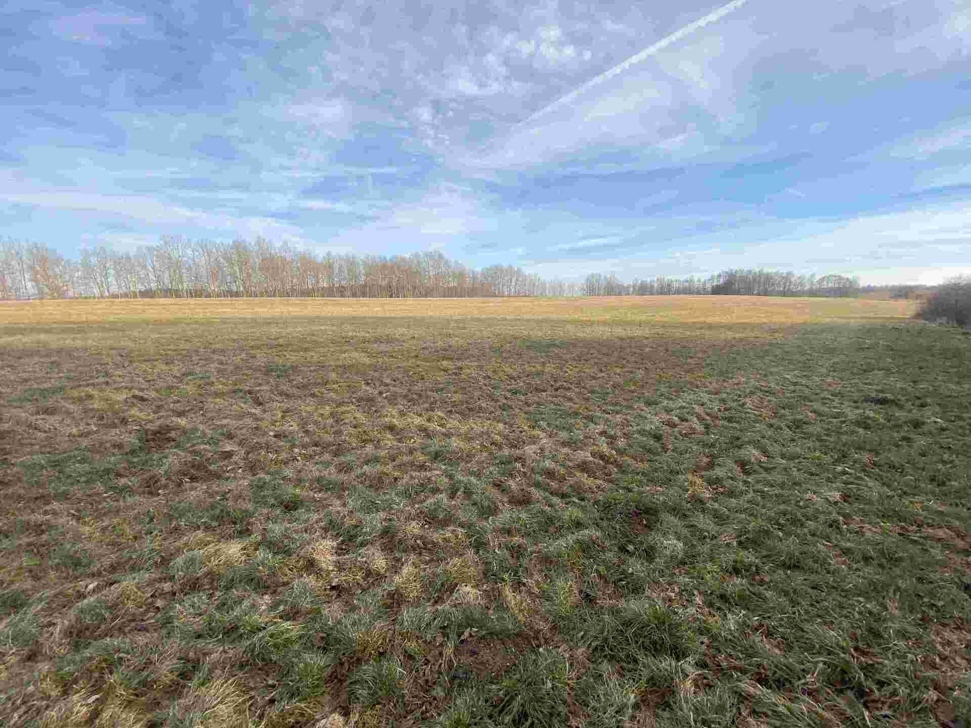 Pozemek · 1 109 m² · Trstěnice - 4
