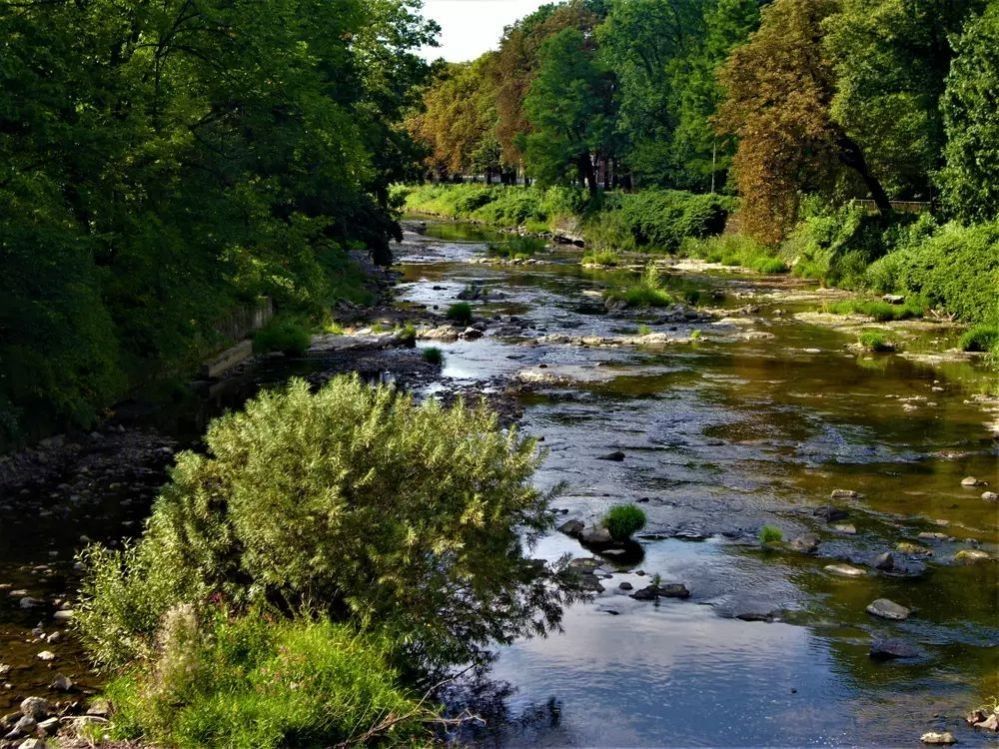 Prodej komerční pozemek - Bystřice - 5