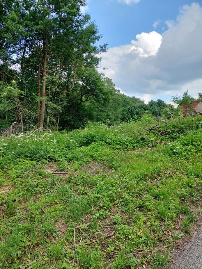 Pozemky pro bydlení, Rokytnice v Orlických horách, 517 61