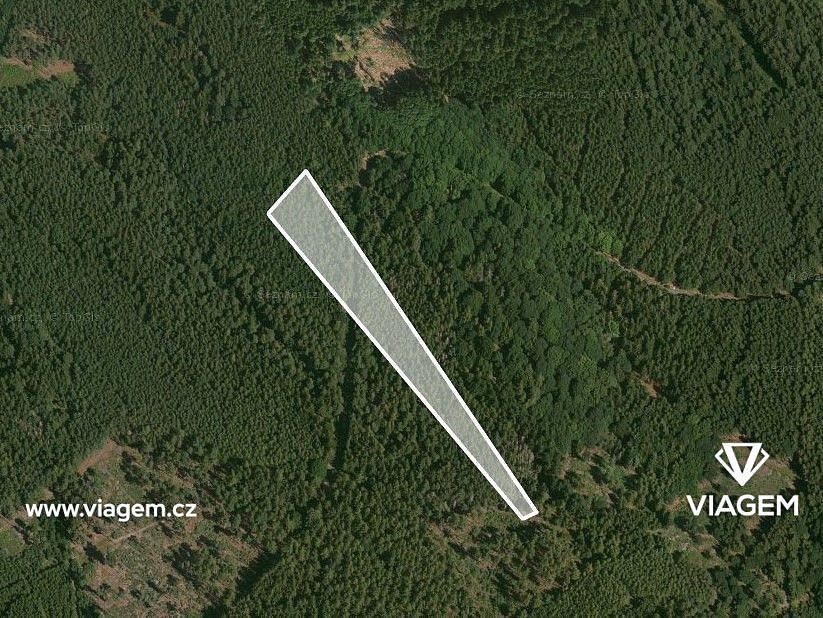 Les · Hradiště, okres Domažlice, Plzeňský kraj - 2
