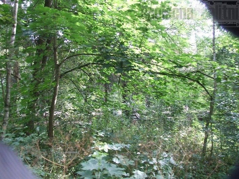 Pozemek pro bydlení · Luštěnice, okres Mladá Boleslav, Středočeský kraj - 3