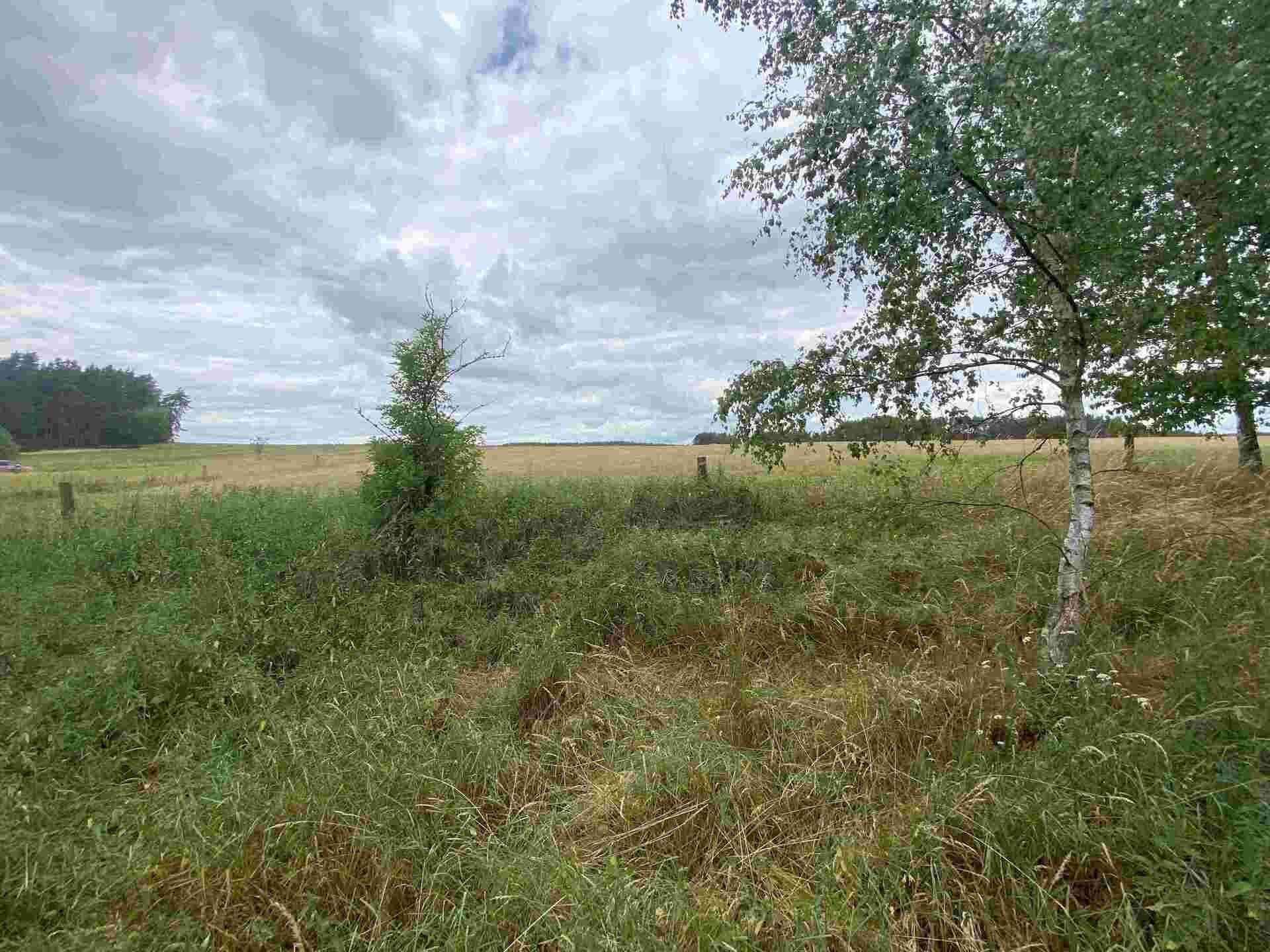 Prodej pozemek - Tuněchody, Kladruby, 2 m²