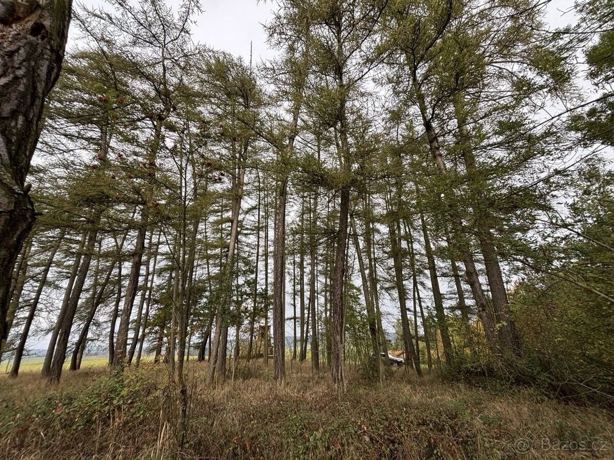 Prodej pozemek pro bydlení - Horažďovice, 341 01