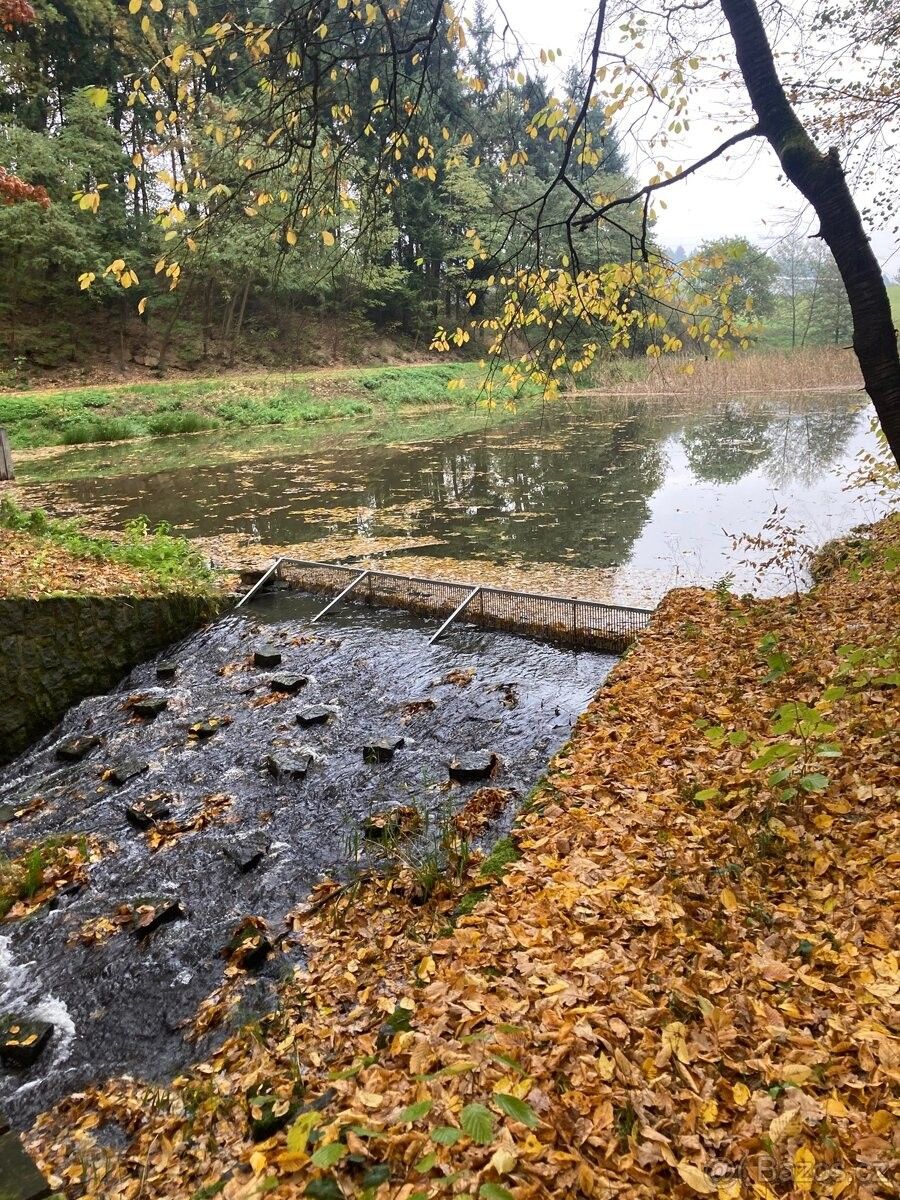 Pronájem pozemek pro bydlení - Písek, 397 01