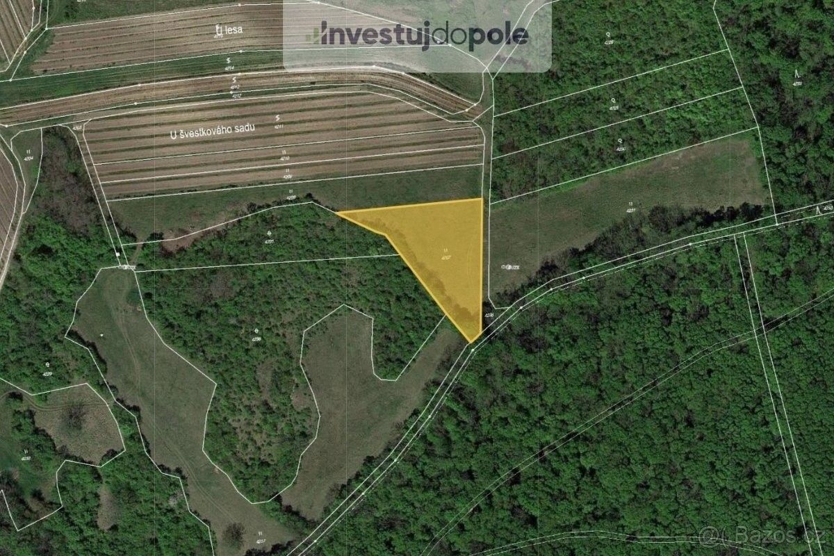 Prodej louka - Březí u Mikulova, 691 81, 2 605 m²