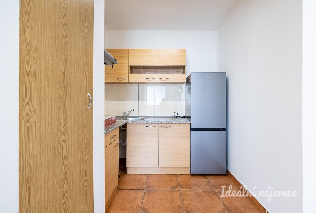 Byt 1+1 · 29 m² · Jetřichovická, Praha - 3
