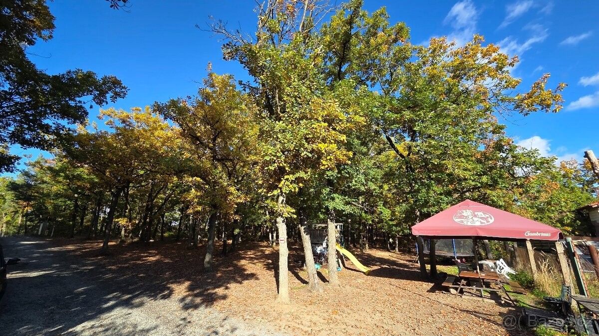 Prodej pozemek pro bydlení - Zvole u Prahy, 252 45